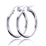 Silver Earrings Image
