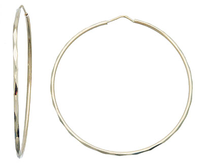 Faceted Hoops jewelry