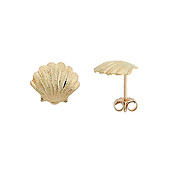 Shell Earrings