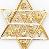 Star of David With 12 Tribes of Israel Pendant - 14K Yellow Gold thumb 1