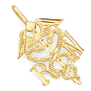 RN Nurse Medical Caduceus Pendant in 14K Yellow Gold - Petite