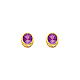 5mm 14K Yellow Gold Amethyst CZ February Birthstone Stud Earrings thumb 0