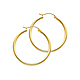 Polished Round Medium Hoop Earrings - 14K Yellow Gold 2mm x 1.2 inch thumb 0