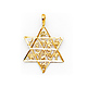 Star of David With 12 Tribes of Israel Pendant - 14K Yellow Gold thumb 0