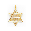 Star of David With 12 Tribes of Israel Pendant - 14K Yellow Gold