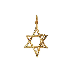 Small 3-D Star of David Pendant in 14K Yellow Gold