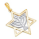 Menorah in Star of David Pendant - 14K Two-Tone Gold thumb 0