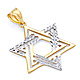 Modern Diamond-Cut Star of David Pendant in 14K Two-Tone Gold thumb 0