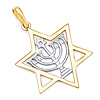 Menorah in Star of David Pendant - 14K Two-Tone Gold thumb 0