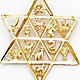 Star of David With 12 Tribes of Israel Pendant - 14K Yellow Gold thumb 1