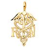 RN Nurse Medical Caduceus Pendant in 14K Yellow Gold - Petite thumb 1