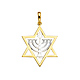 Menorah in Star of David Pendant - 14K Two-Tone Gold thumb 1