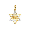 CZ Shema Yisrael Star of David Pendant in 14K Yellow Gold thumb 1